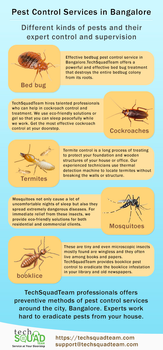 Infographic Techsquadteam pest control services in bangalore