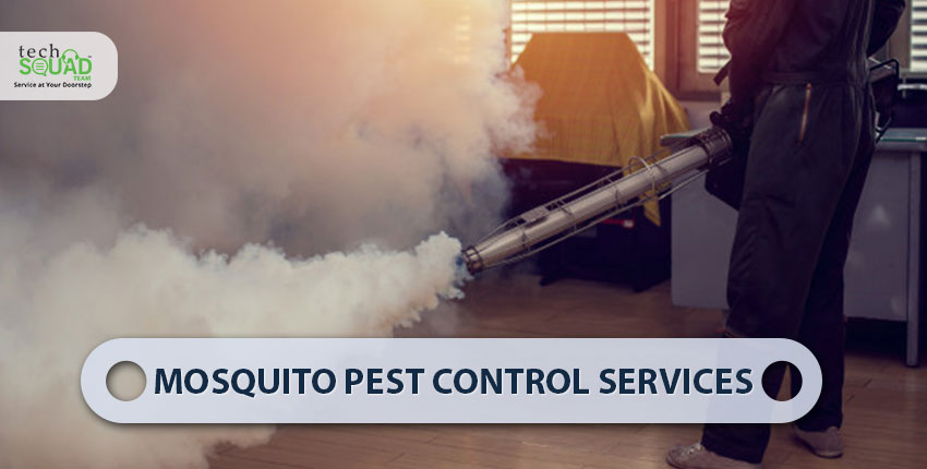 Mosquito-Pest-Control