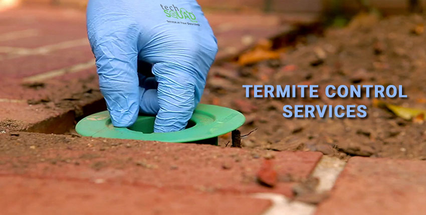 termite control services in bangalore