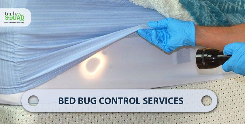 bed-bug-pest-control-services