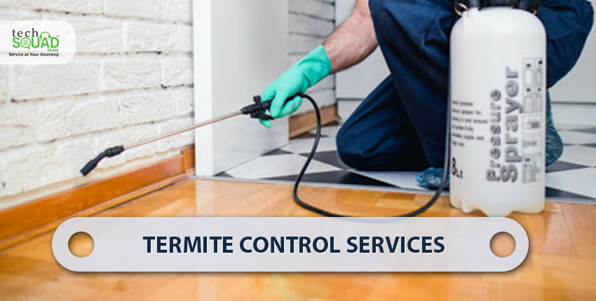 termite-control-services